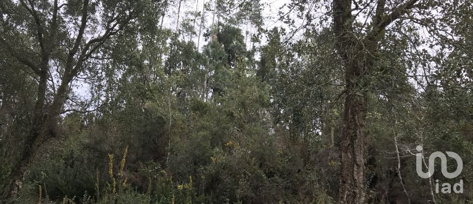 Land in Santiago e São Simão de Litém e Albergaria dos Doze of 840 m²