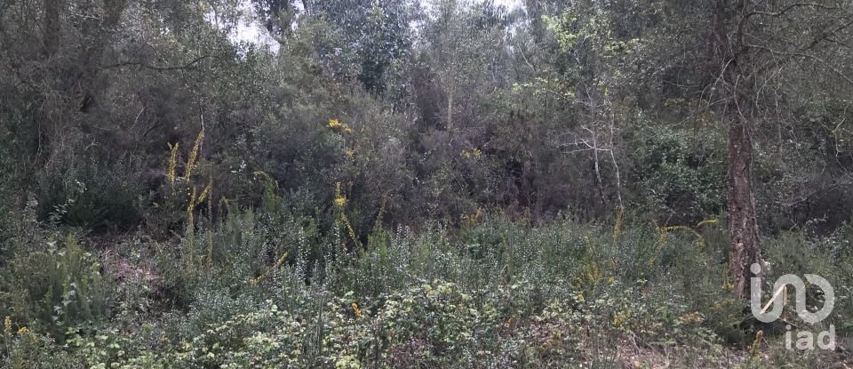 Land in Santiago e São Simão de Litém e Albergaria dos Doze of 840 m²