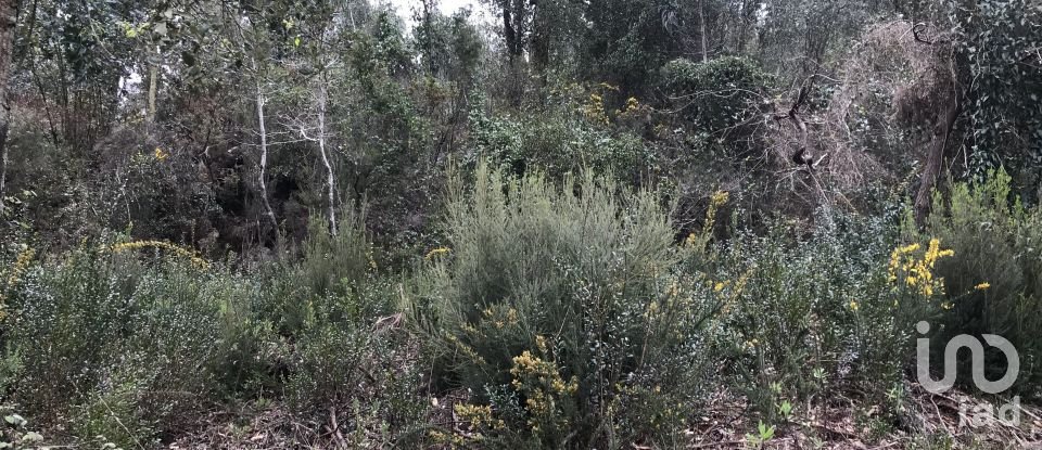 Land in Santiago e São Simão de Litém e Albergaria dos Doze of 840 m²