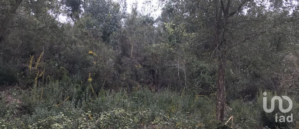 Land in Santiago e São Simão de Litém e Albergaria dos Doze of 840 m²