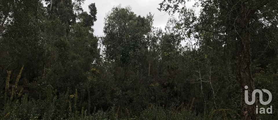 Land in Santiago e São Simão de Litém e Albergaria dos Doze of 840 m²