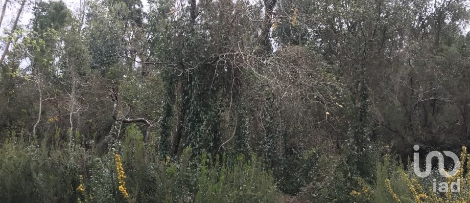 Land in Santiago e São Simão de Litém e Albergaria dos Doze of 840 m²