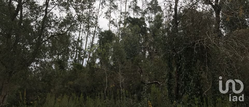 Land in Santiago e São Simão de Litém e Albergaria dos Doze of 840 m²