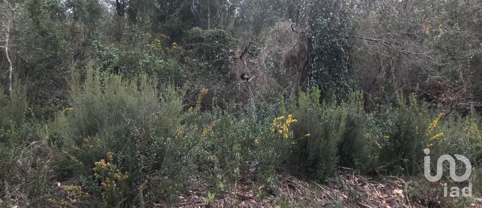 Land in Santiago e São Simão de Litém e Albergaria dos Doze of 840 m²