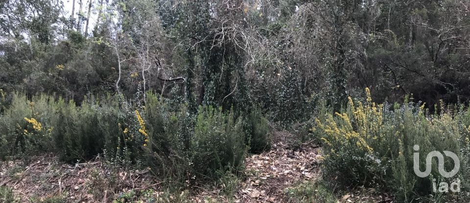 Land in Santiago e São Simão de Litém e Albergaria dos Doze of 840 m²