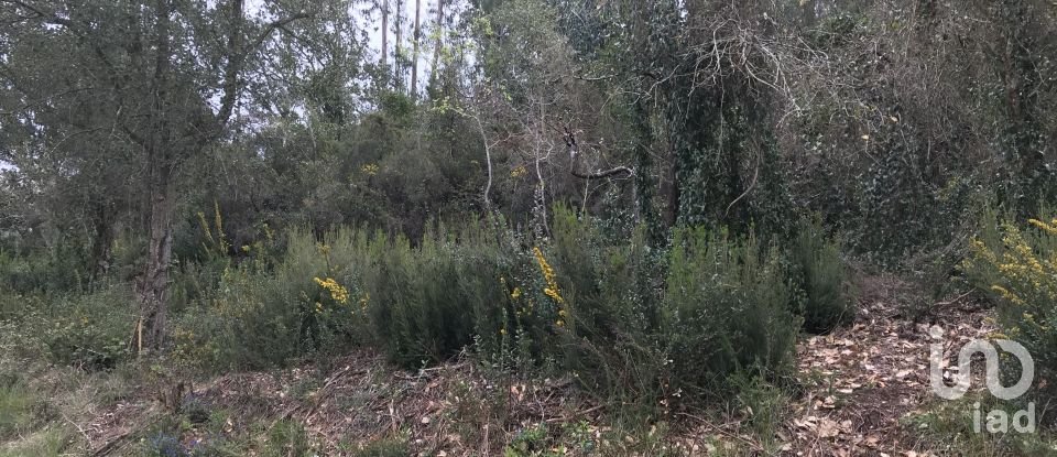 Land in Santiago e São Simão de Litém e Albergaria dos Doze of 840 m²