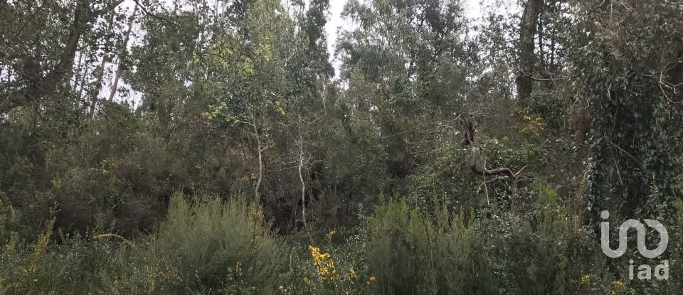 Land in Santiago e São Simão de Litém e Albergaria dos Doze of 840 m²