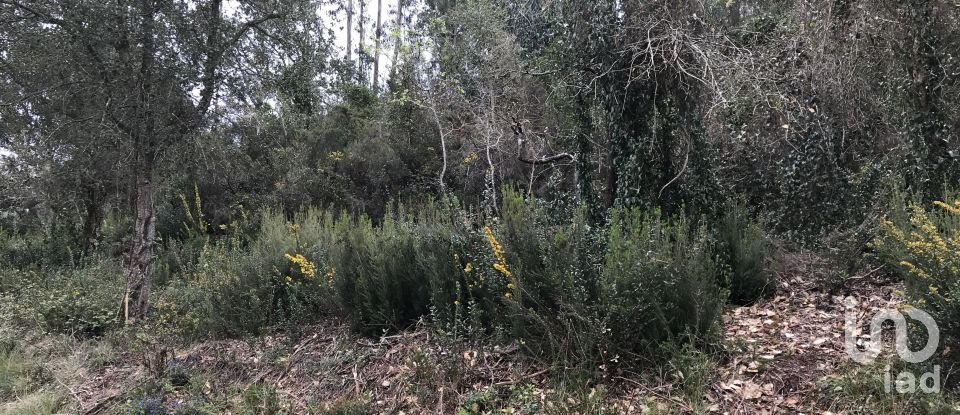 Land in Santiago e São Simão de Litém e Albergaria dos Doze of 840 m²