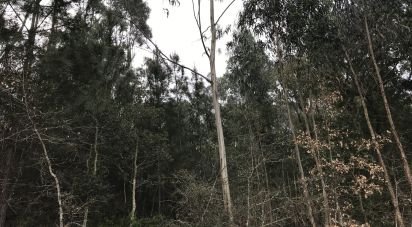 Land in Santiago e São Simão de Litém e Albergaria dos Doze of 1,480 m²