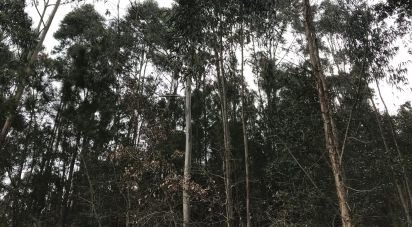 Land in Santiago e São Simão de Litém e Albergaria dos Doze of 1,480 m²