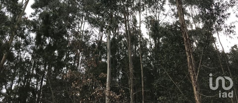 Land in Santiago e São Simão de Litém e Albergaria dos Doze of 1,480 m²