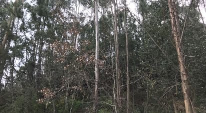 Land in Santiago e São Simão de Litém e Albergaria dos Doze of 1,480 m²