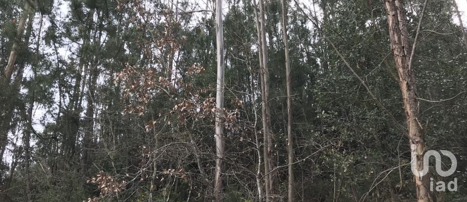 Land in Santiago e São Simão de Litém e Albergaria dos Doze of 1,480 m²