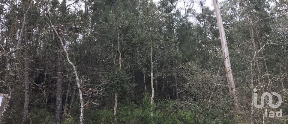 Land in Santiago e São Simão de Litém e Albergaria dos Doze of 1,480 m²