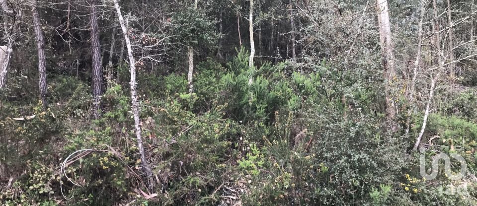 Land in Santiago e São Simão de Litém e Albergaria dos Doze of 1,480 m²