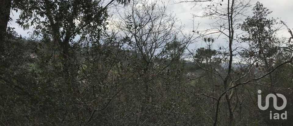 Land in Santiago e São Simão de Litém e Albergaria dos Doze of 1,480 m²