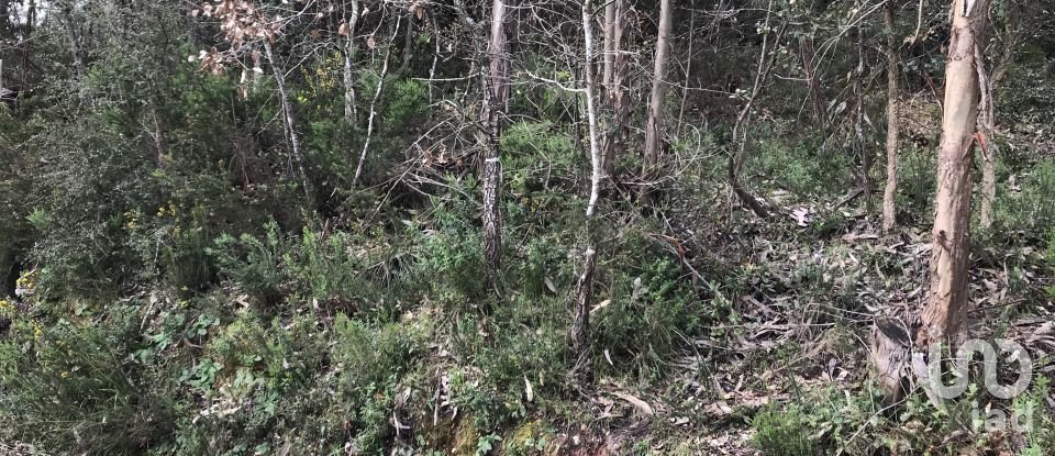 Land in Santiago e São Simão de Litém e Albergaria dos Doze of 1,480 m²