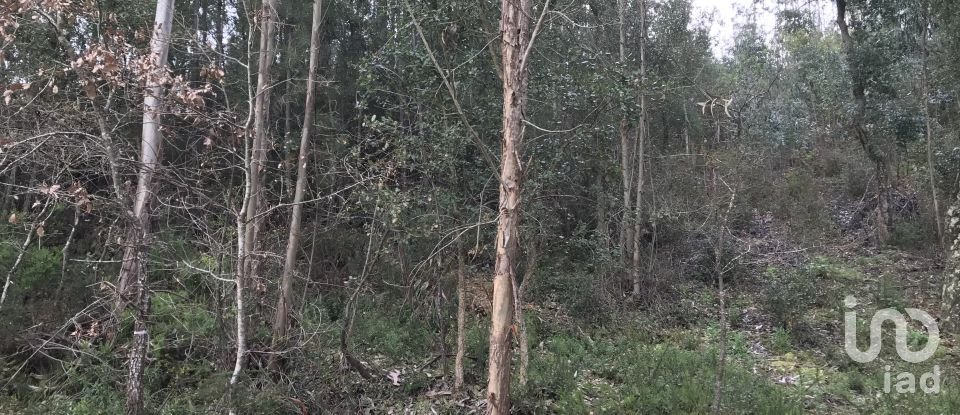 Land in Santiago e São Simão de Litém e Albergaria dos Doze of 1,480 m²