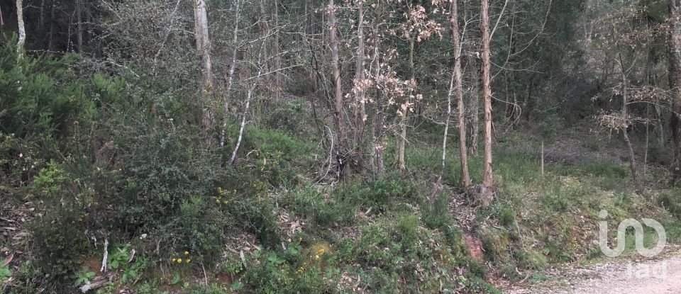 Land in Santiago e São Simão de Litém e Albergaria dos Doze of 1,480 m²