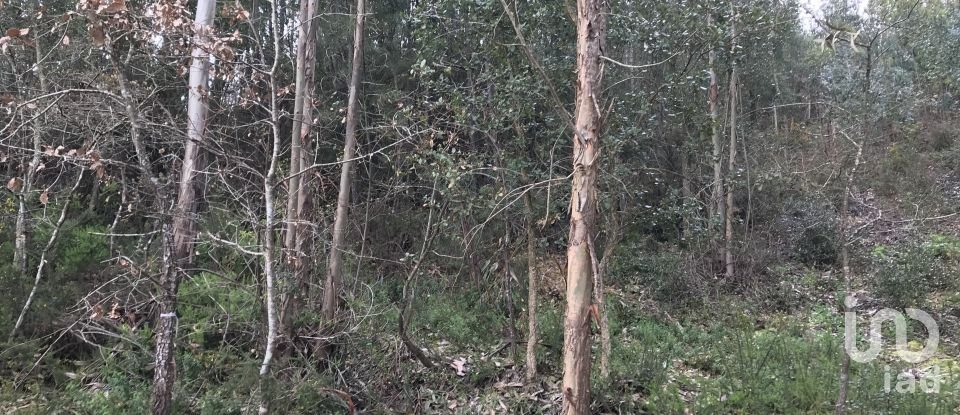 Land in Santiago e São Simão de Litém e Albergaria dos Doze of 1,480 m²