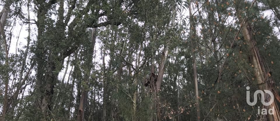 Land in Santiago e São Simão de Litém e Albergaria dos Doze of 1,480 m²