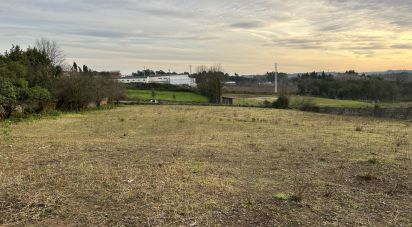 Terrain à bâtir à Sangalhos de 4 049 m²