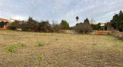 Building land in Sangalhos of 4,049 m²