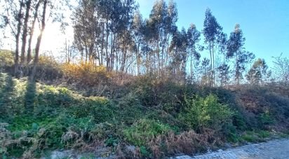 Terrain à Aborim de 6 048 m²