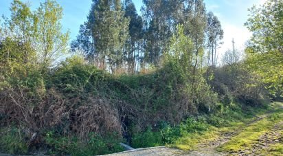 Terrain à Aborim de 6 048 m²