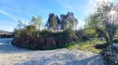 Terrain à Aborim de 6 048 m²