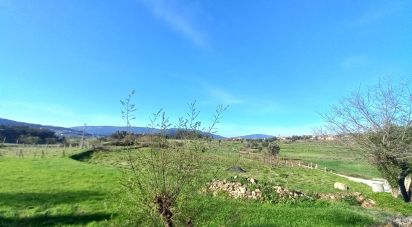 Terrain à Aborim de 6 048 m²