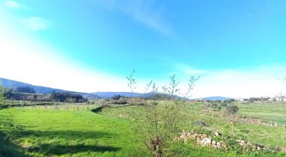 Terrain à Aborim de 6 048 m²