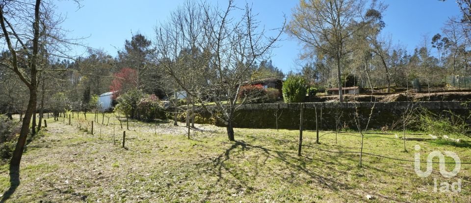 Ferme T3 à Fataunços e Figueiredo das Donas de 253 m²