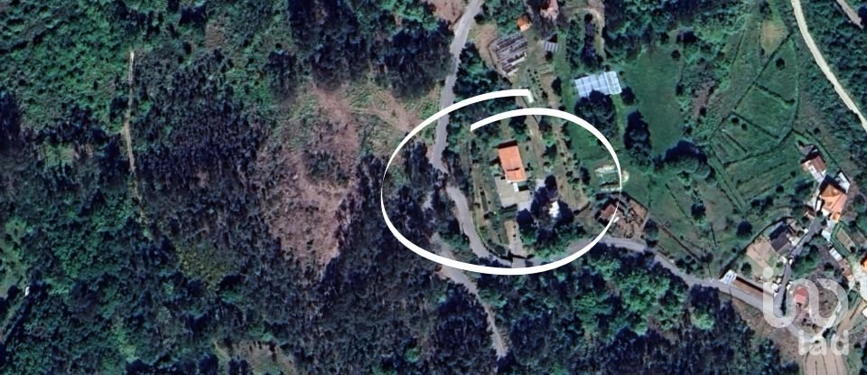 Ferme T3 à Fataunços e Figueiredo das Donas de 253 m²