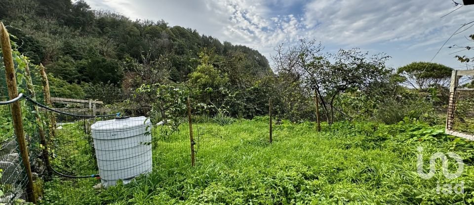 Casa de aldeia T7 em Arco de São Jorge de 159 m²