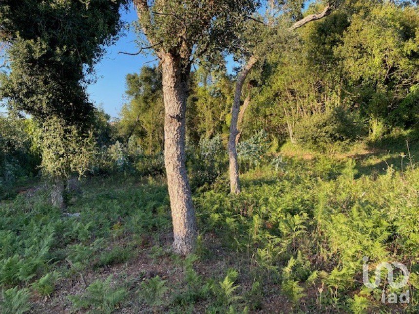 Land in São Félix da Marinha of 1,500 m²