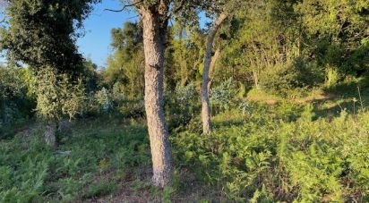 Land in São Félix da Marinha of 1,500 m²