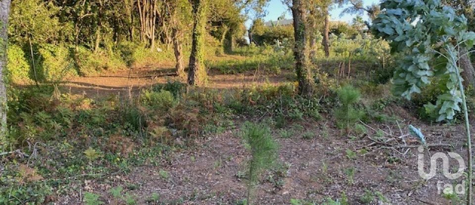 Land in São Félix da Marinha of 1,500 m²