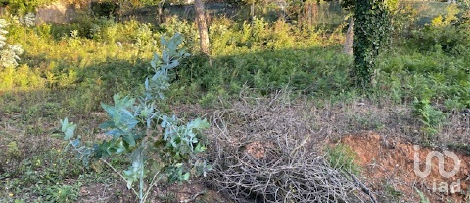 Land in São Félix da Marinha of 1,500 m²