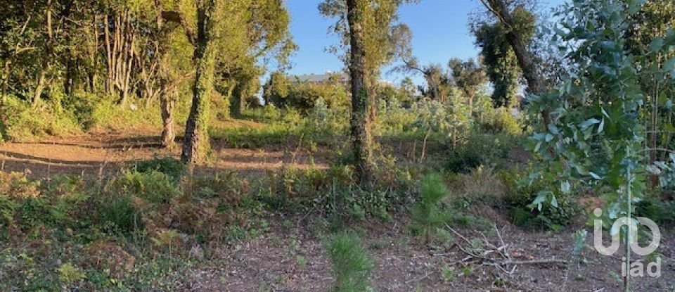 Land in São Félix da Marinha of 1,500 m²