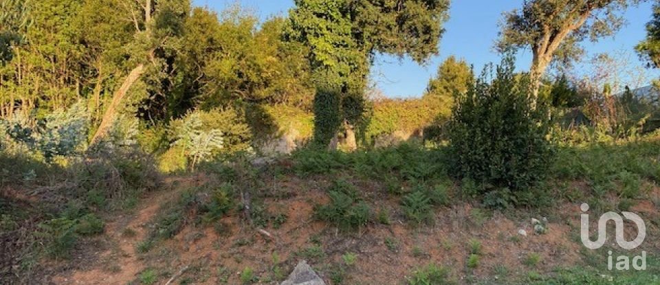 Land in São Félix da Marinha of 1,500 m²