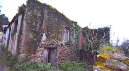 Casa tradicional T3 em Vila Nova de 120 m²