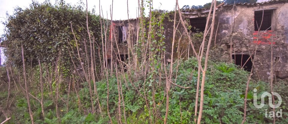 Traditional house T3 in Vila Nova of 120 m²