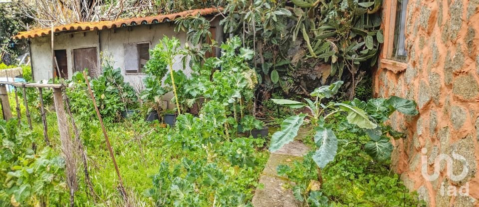 Moradia T4 em Castelo Rodrigo de 50 m²