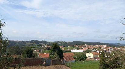 Terrain à Salir de Matos de 1 177 m²