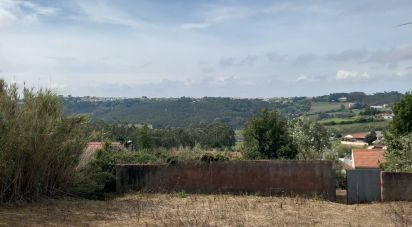 Terrain à Salir de Matos de 1 177 m²