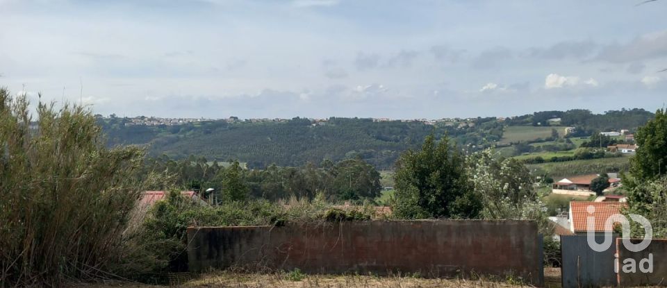 Terrain à Salir de Matos de 1 177 m²