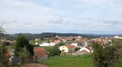 Terrain à Salir de Matos de 1 177 m²