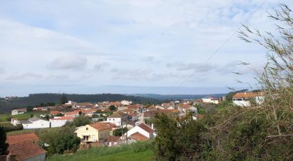 Terrain à Salir de Matos de 1 177 m²