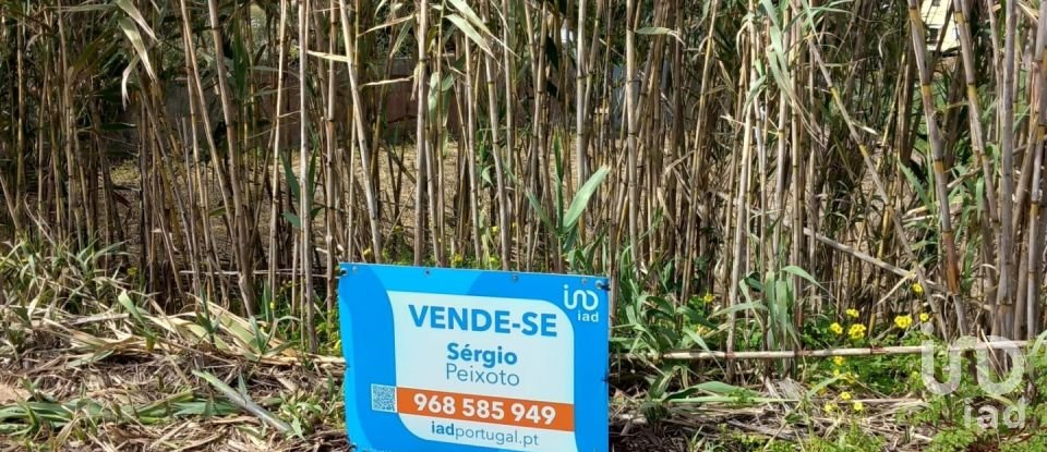 Terrain à Salir de Matos de 1 177 m²